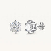 Thumbnail for Puces d'oreilles — photo produit sur fond blanc, argent | SKU: 5056659