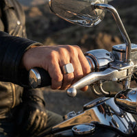 Thumbnail for La Roche