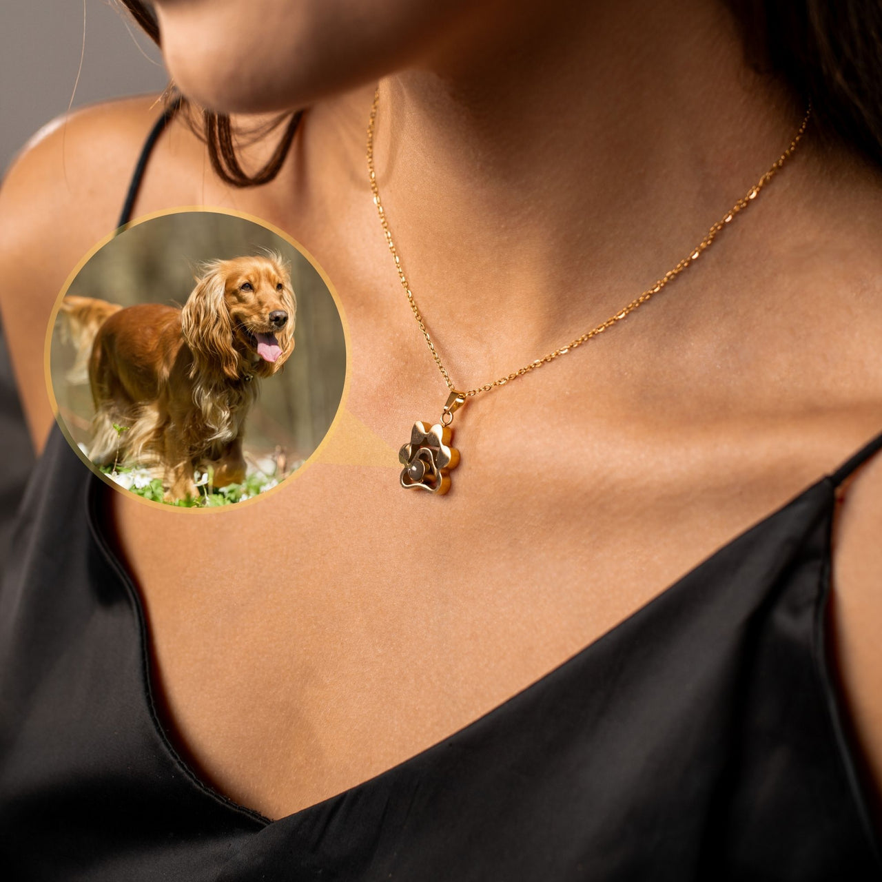 Collier Photo Animaux