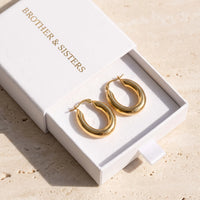 Thumbnail for The Shiny, gold earrings — gift box | SKU: lesbrillantes